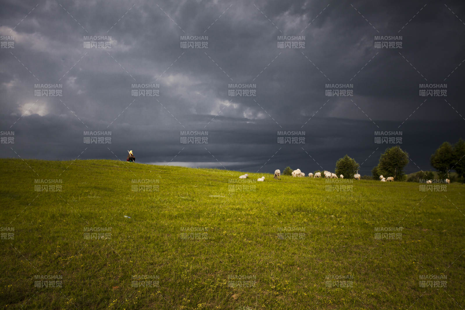 中国河北省张家口地区沽源县天鹅湖景区夏天图片