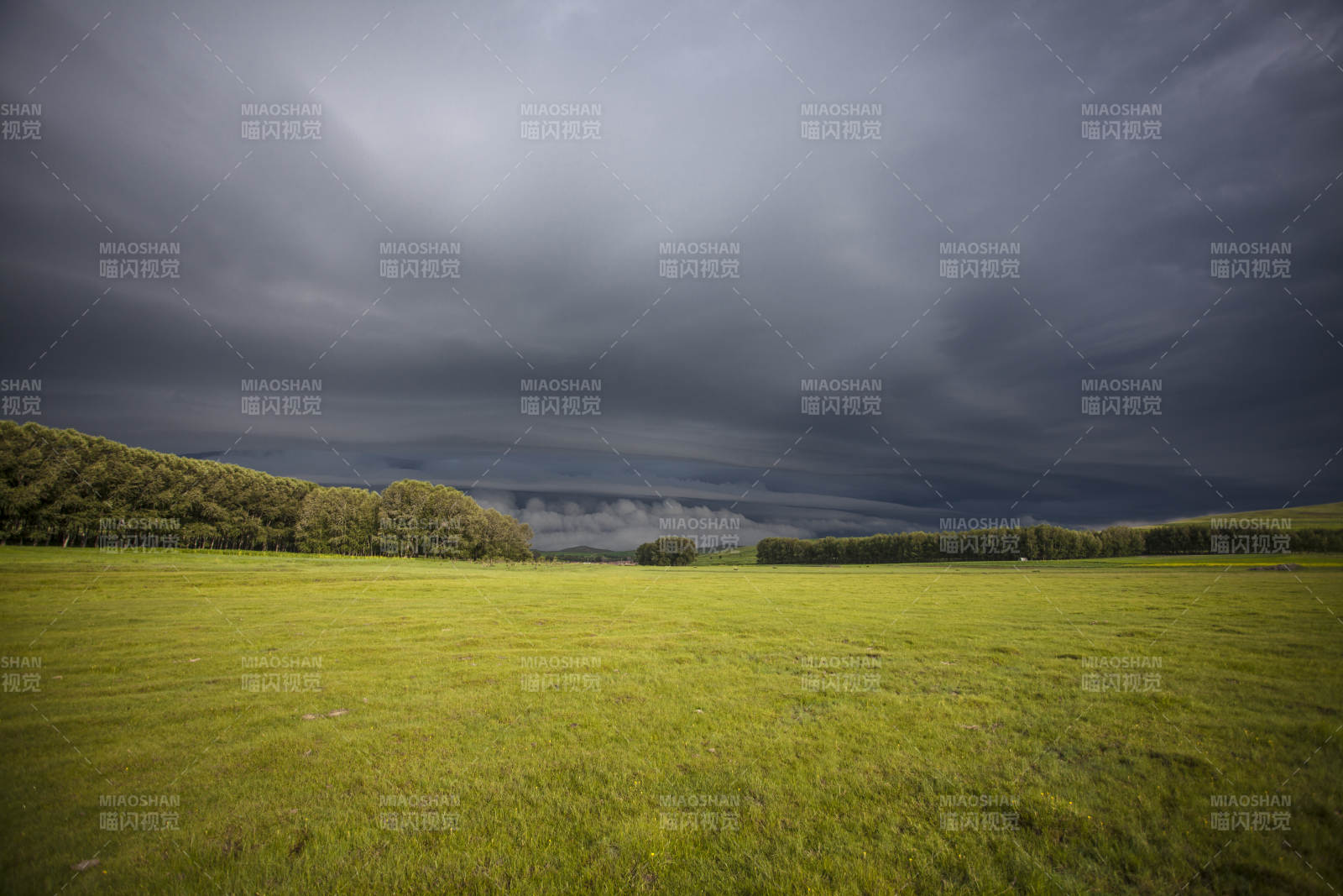 中国河北省张家口地区沽源县天鹅湖景区夏天图片