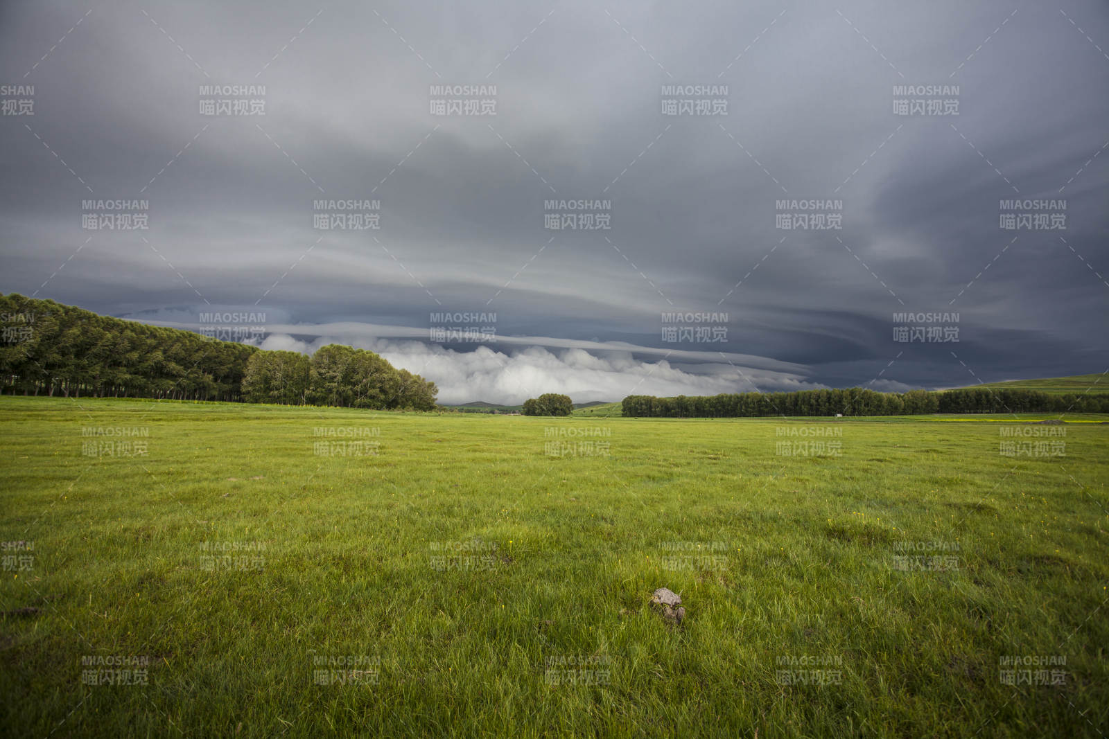 中国河北省张家口地区沽源县天鹅湖景区夏天图片