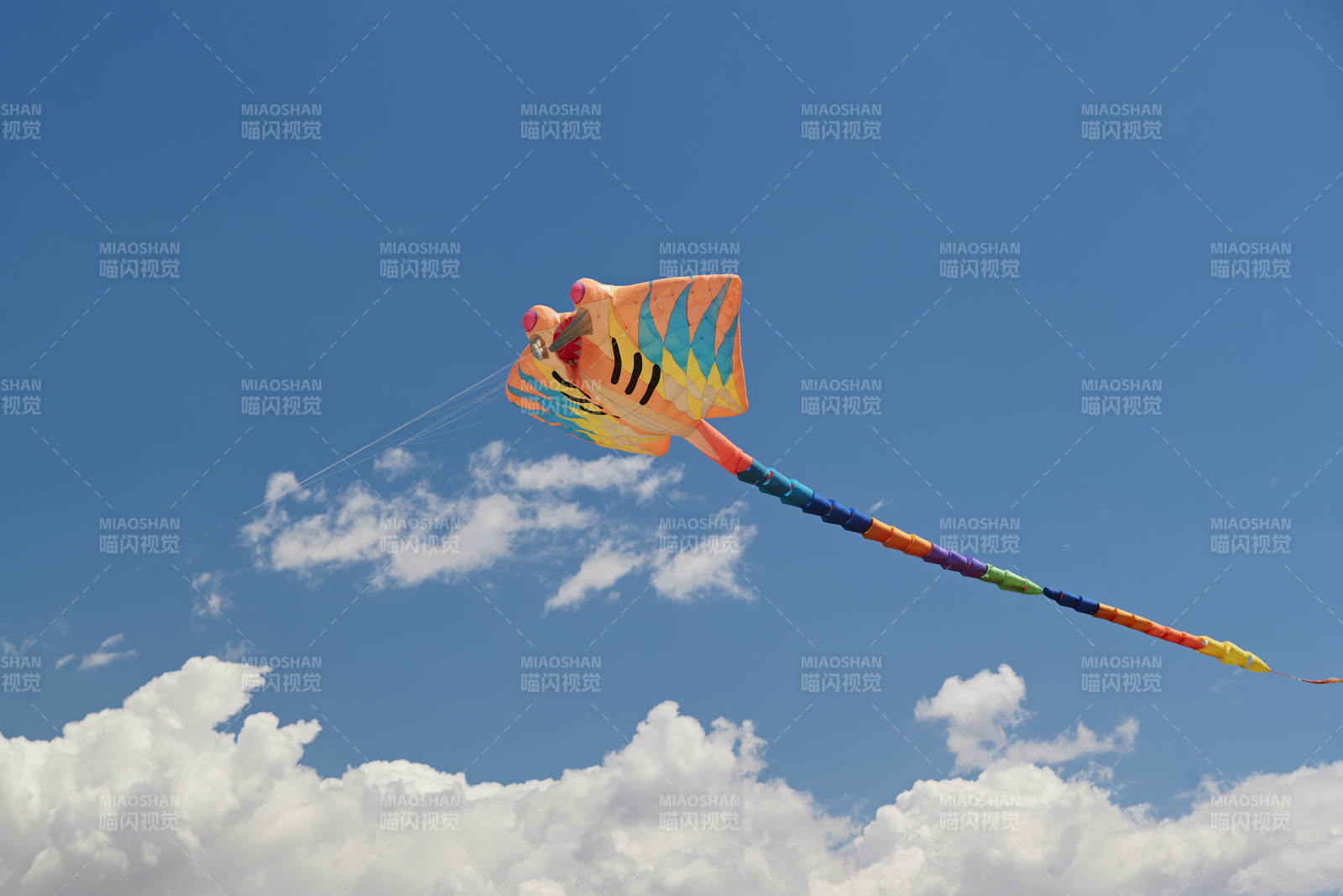 坝上草原风筝节上天空飞舞的风筝图片