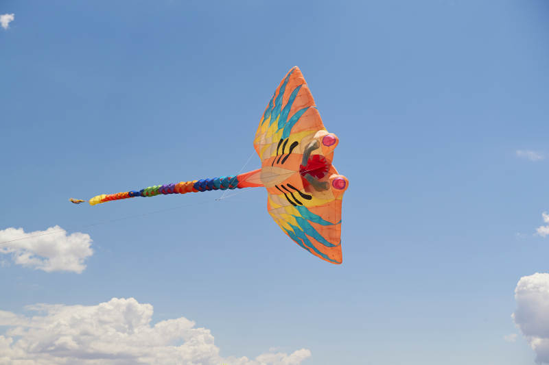 坝上草原风筝节上天空飞舞的风筝图片