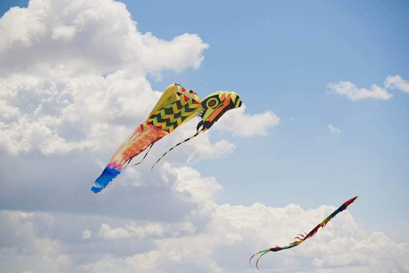 坝上草原风筝节上天空飞舞的风筝图片
