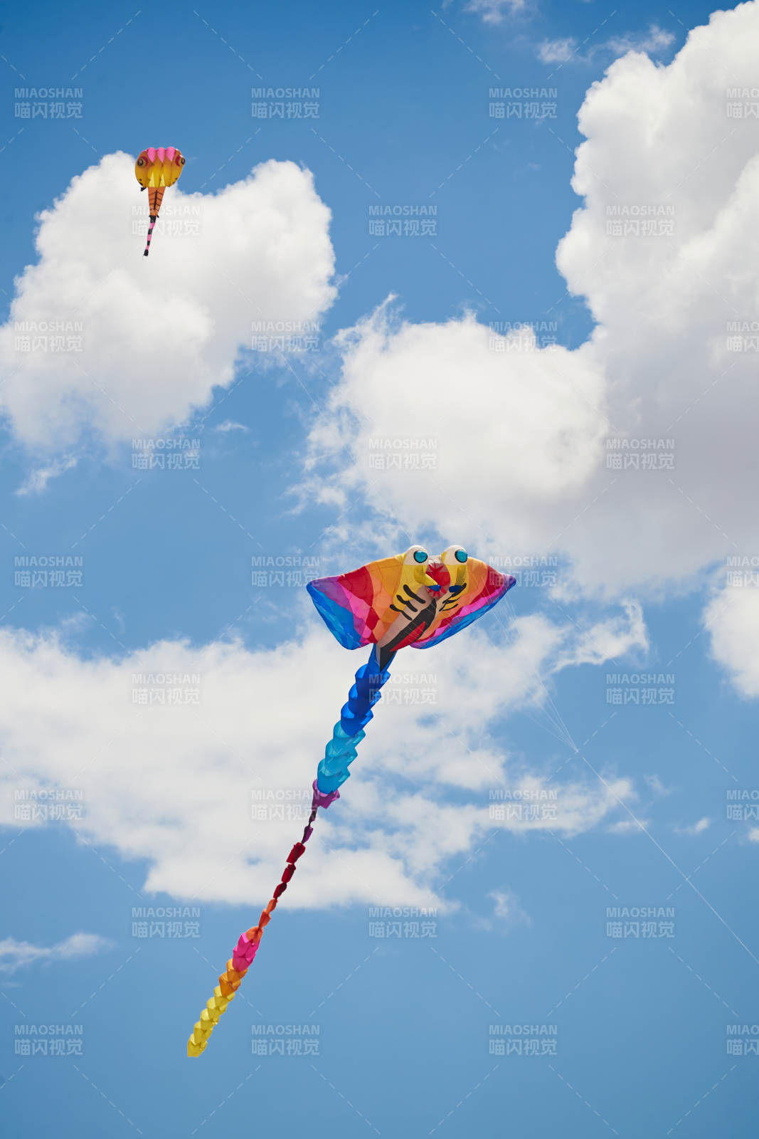 坝上草原风筝节上天空飞舞的风筝图片