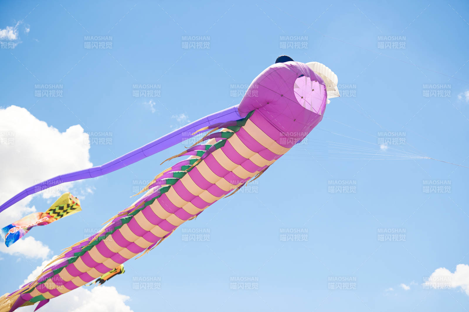 坝上草原风筝节上天空飞舞的风筝图片