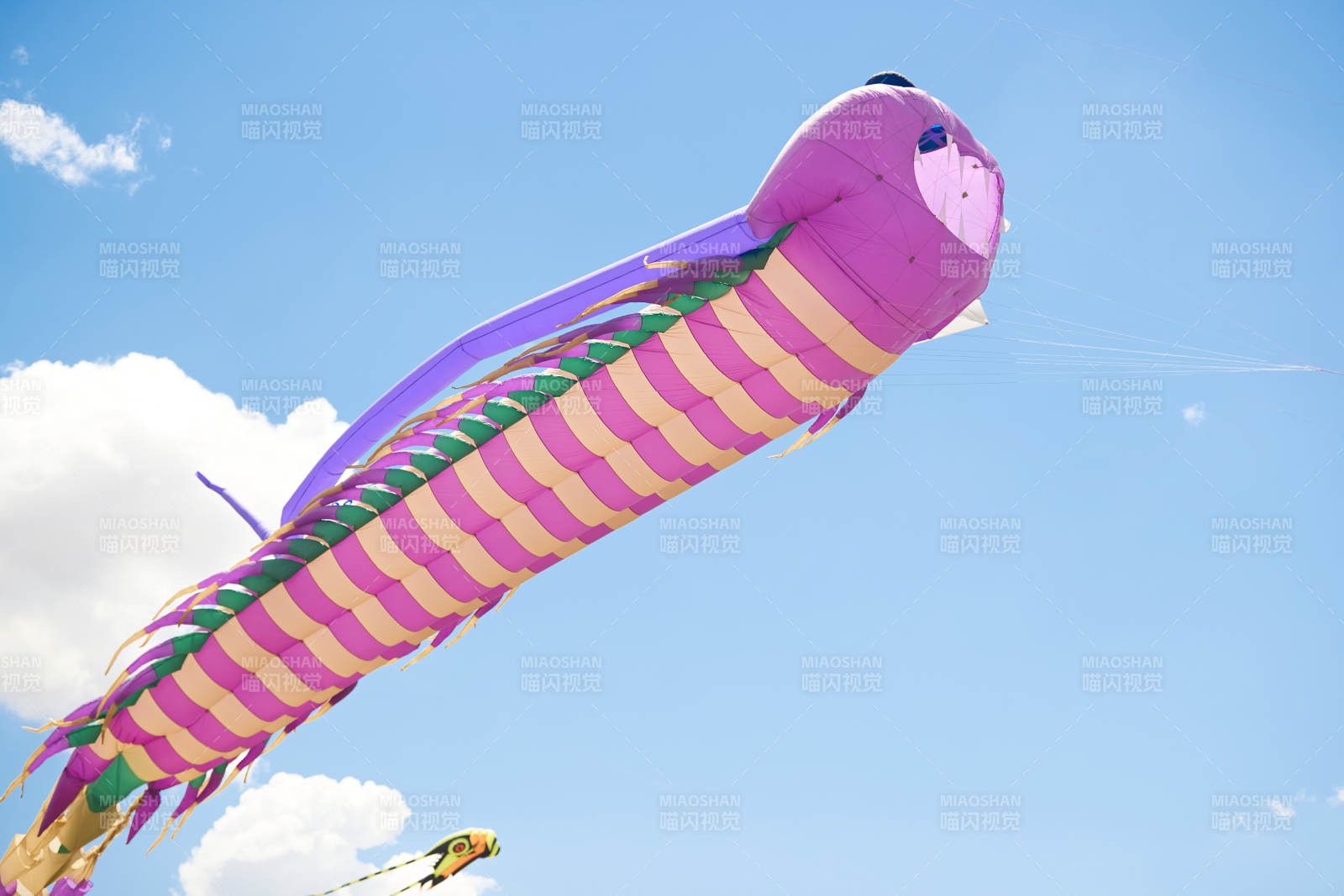 坝上草原风筝节上天空飞舞的风筝图片