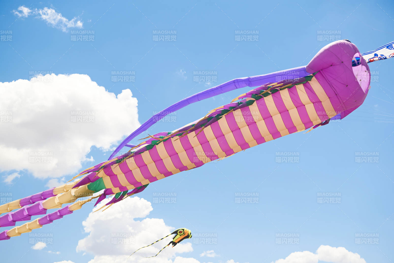 坝上草原风筝节上天空飞舞的风筝图片