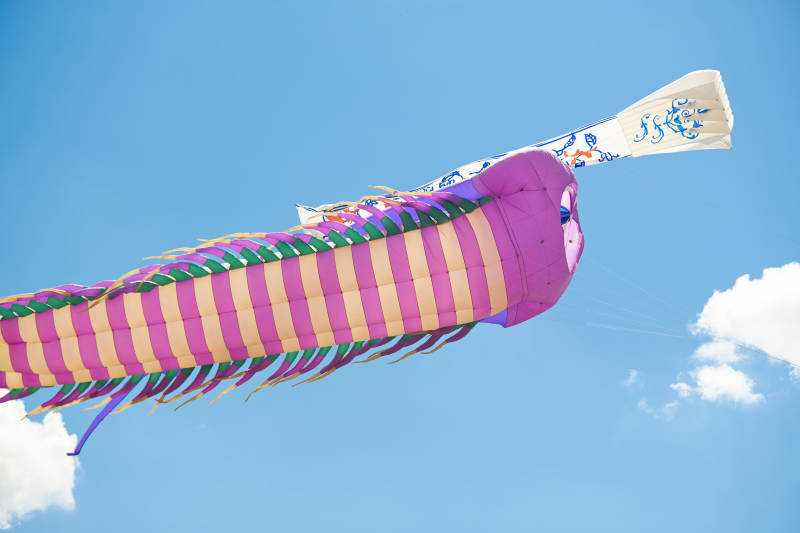 坝上草原风筝节上天空飞舞的风筝图片