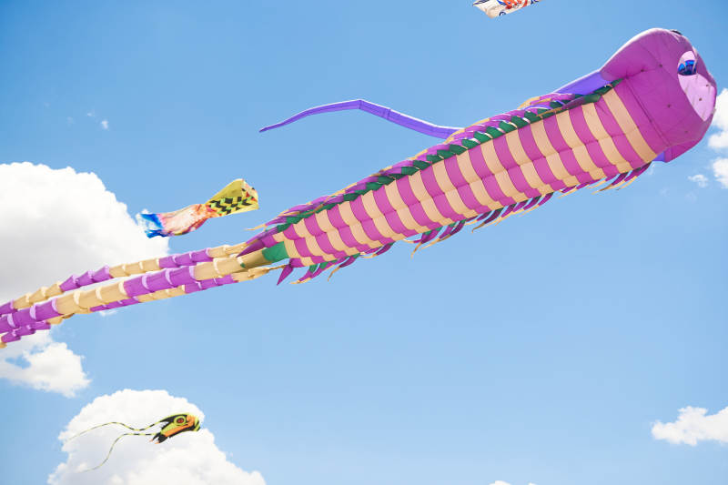 坝上草原风筝节上天空飞舞的风筝图片