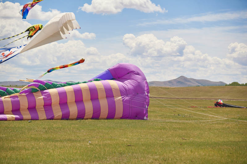 坝上草原风筝节上天空飞舞的风筝图片