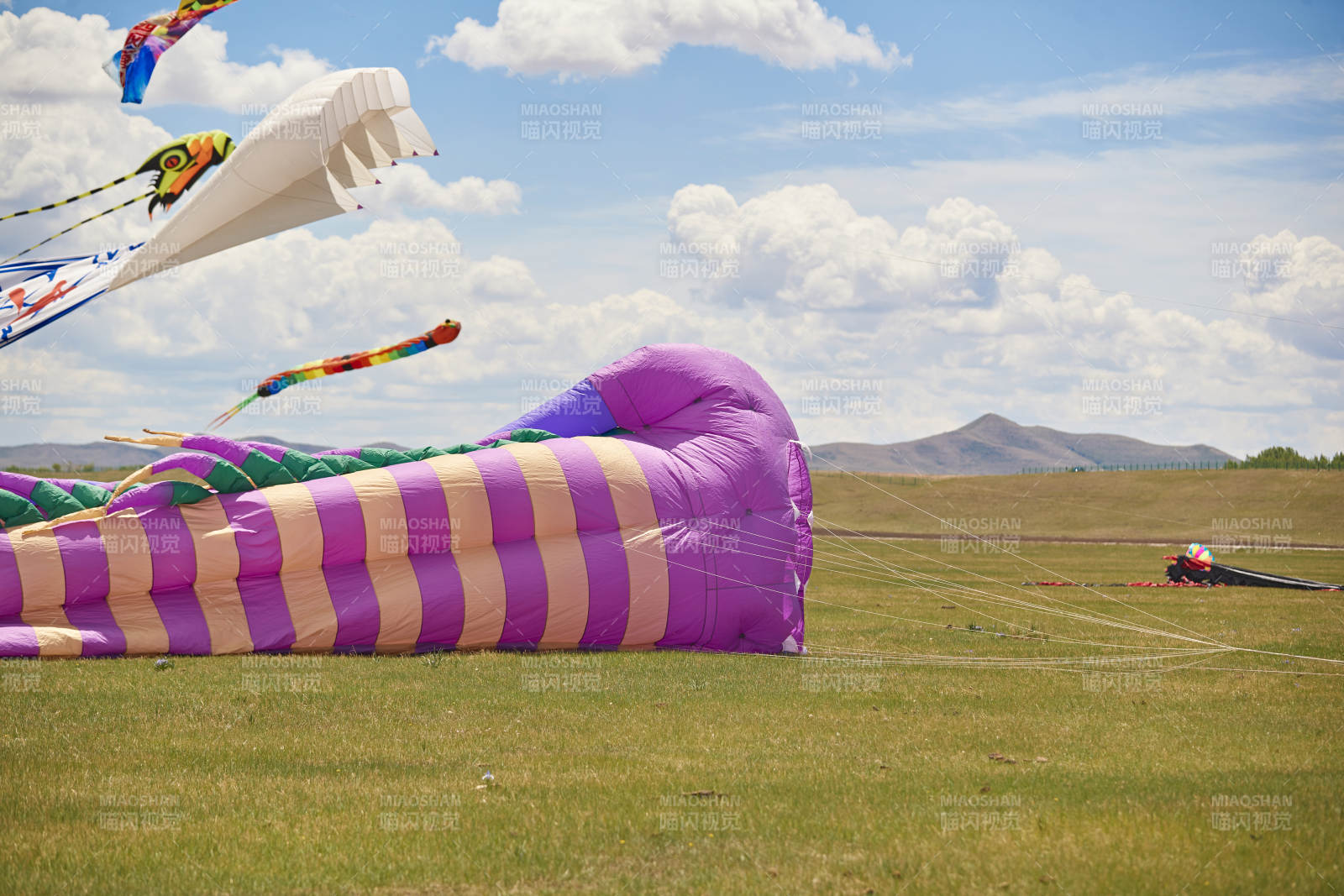 坝上草原风筝节上天空飞舞的风筝图片
