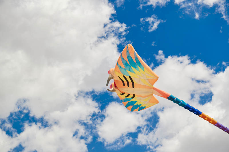 坝上草原风筝节上天空飞舞的风筝图片