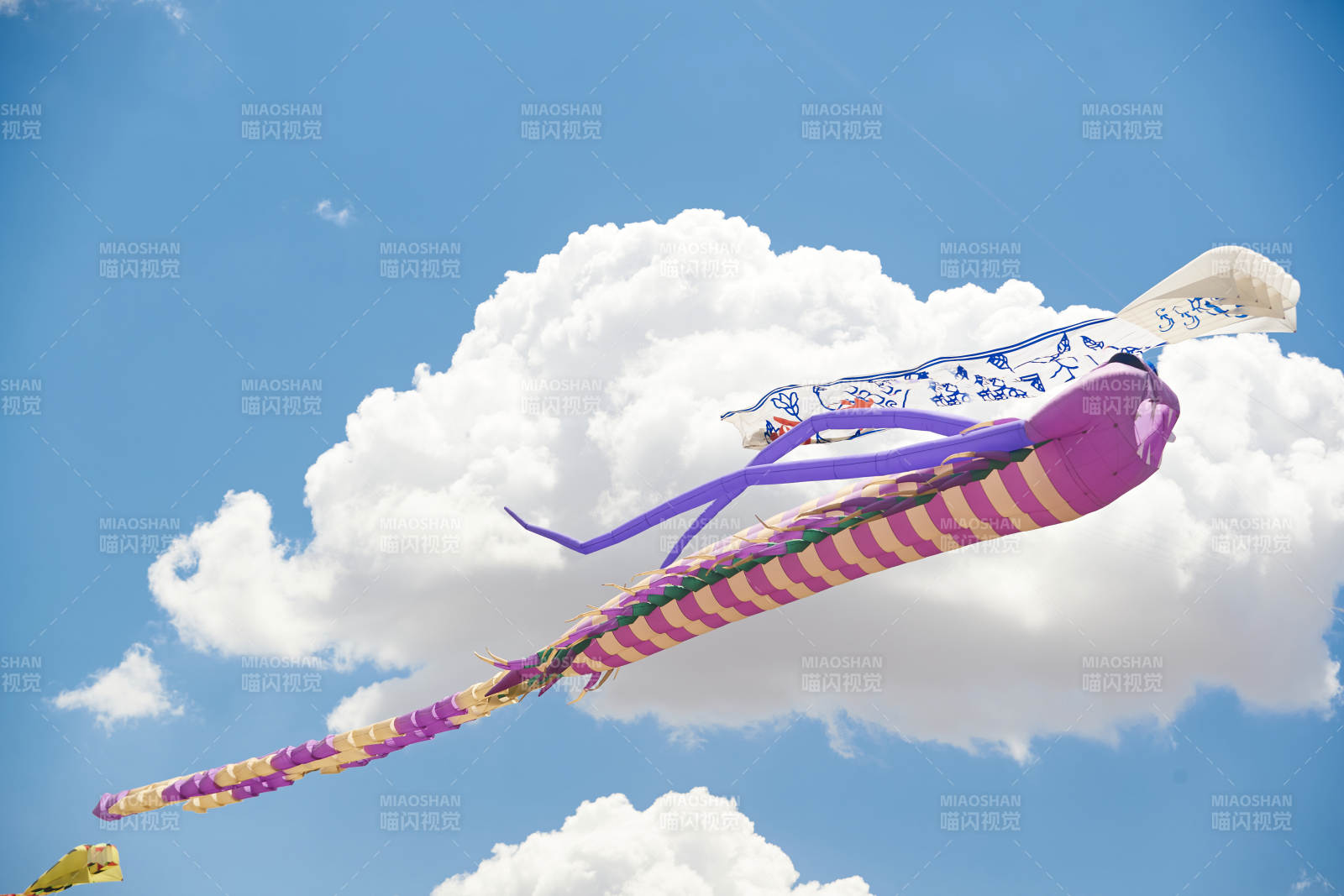 坝上草原风筝节上天空飞舞的风筝图片