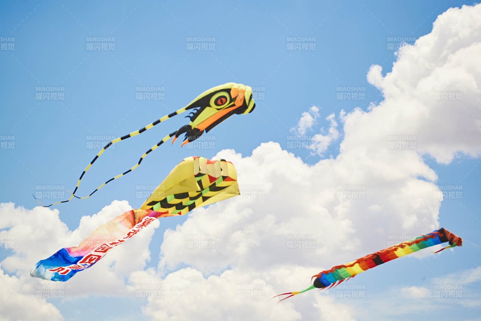 坝上草原风筝节上天空飞舞的风筝图片