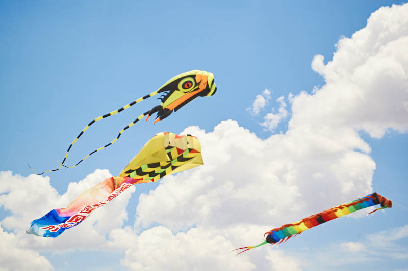 坝上草原风筝节上天空飞舞的风筝图片