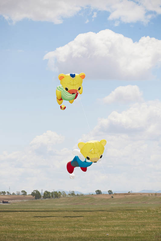 坝上草原风筝节上天空飞舞的风筝图片