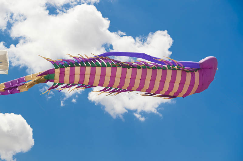 坝上草原风筝节上天空飞舞的风筝图片