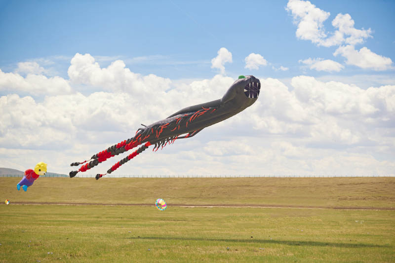 坝上草原风筝节上天空飞舞的风筝图片