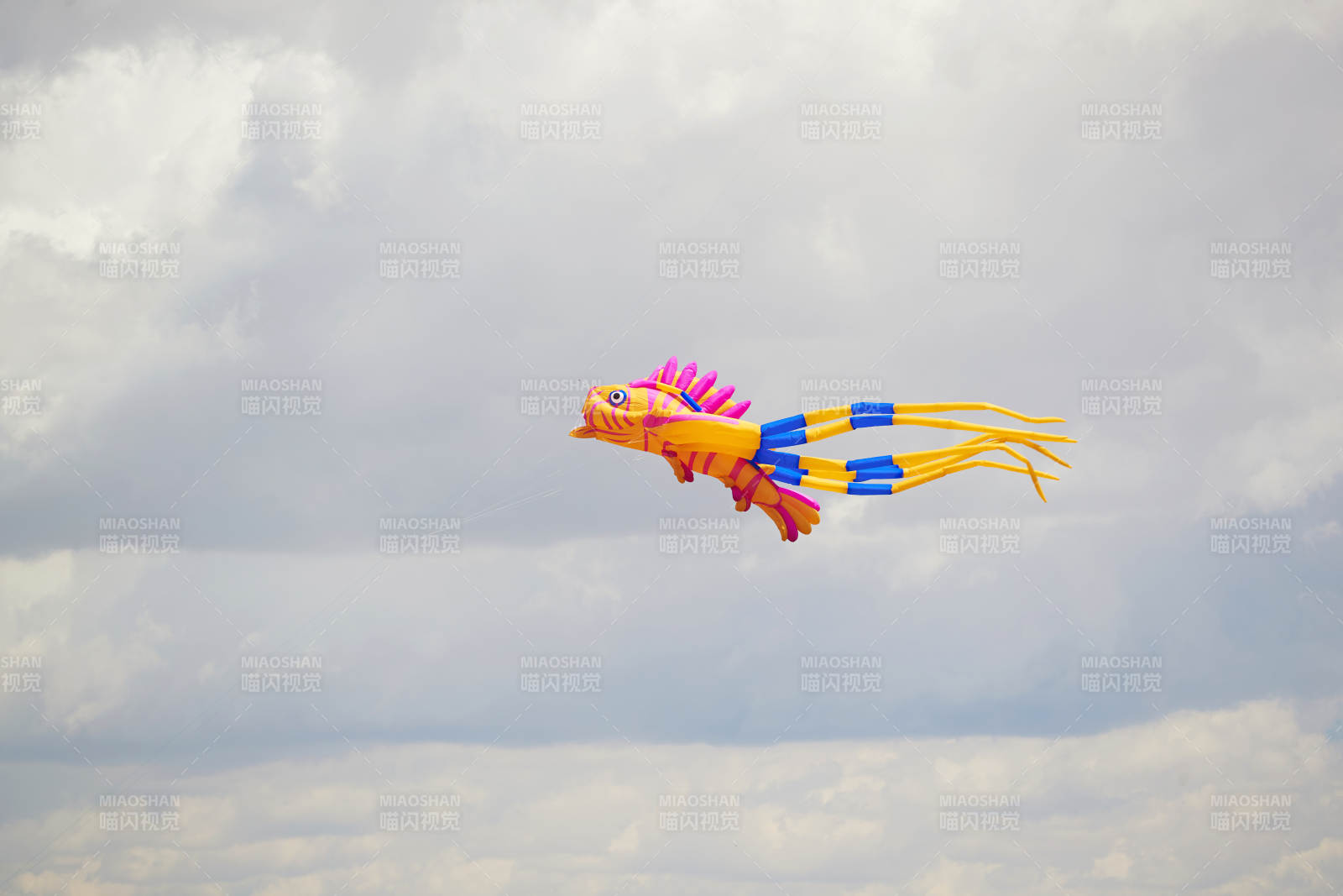 坝上草原风筝节上天空飞舞的风筝图片
