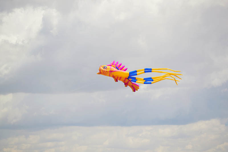 坝上草原风筝节上天空飞舞的风筝图片