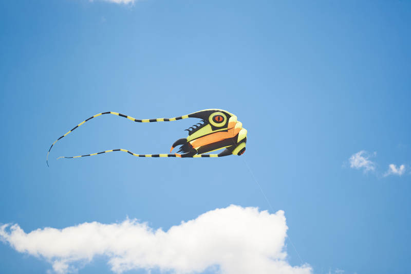 坝上草原风筝节上天空飞舞的风筝图片