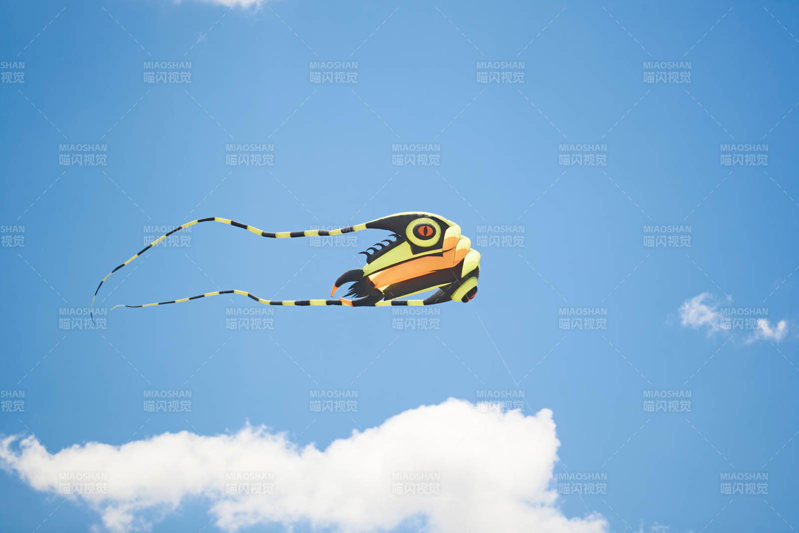 坝上草原风筝节上天空飞舞的风筝图片