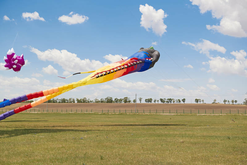 坝上草原风筝节上天空飞舞的风筝图片