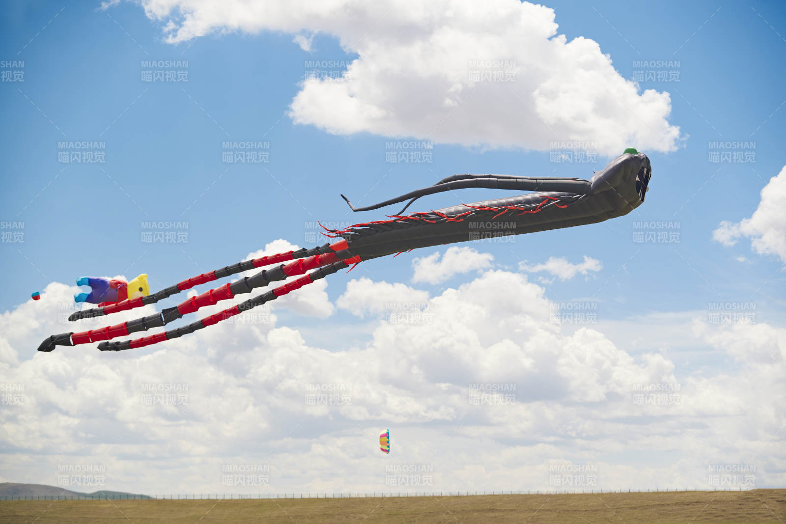 坝上草原风筝节上天空飞舞的风筝图片