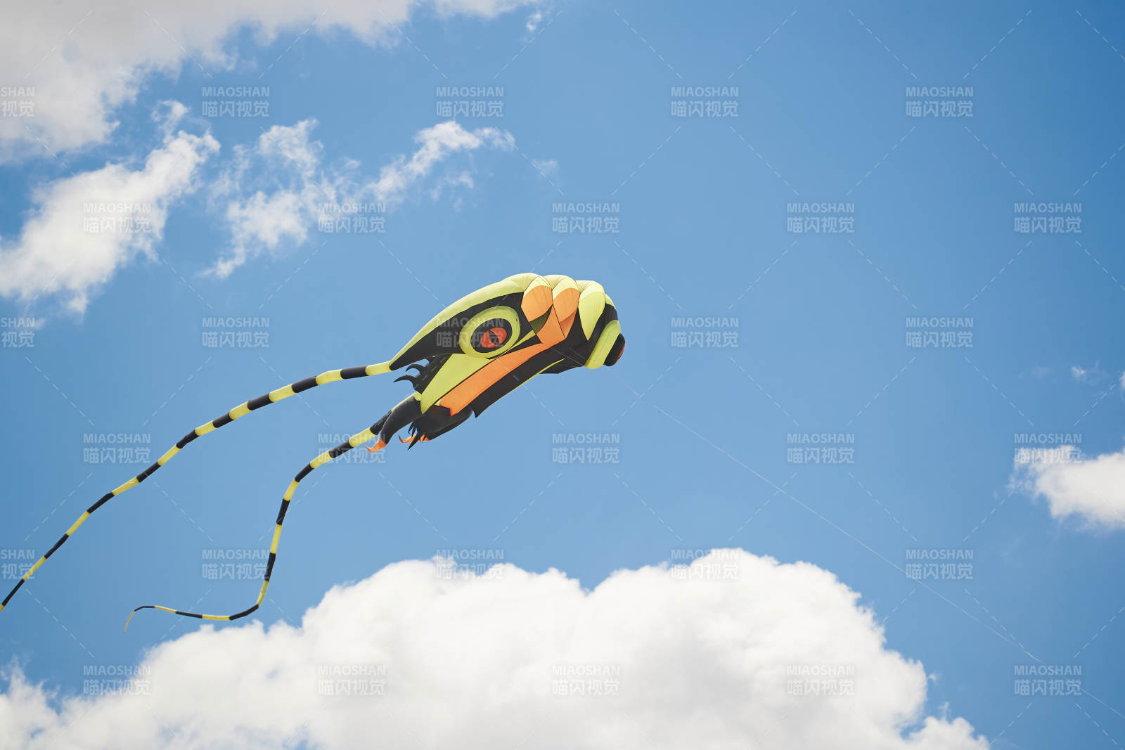 坝上草原风筝节上天空飞舞的风筝图片