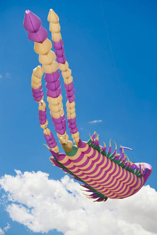 坝上草原风筝节上天空飞舞的风筝图片