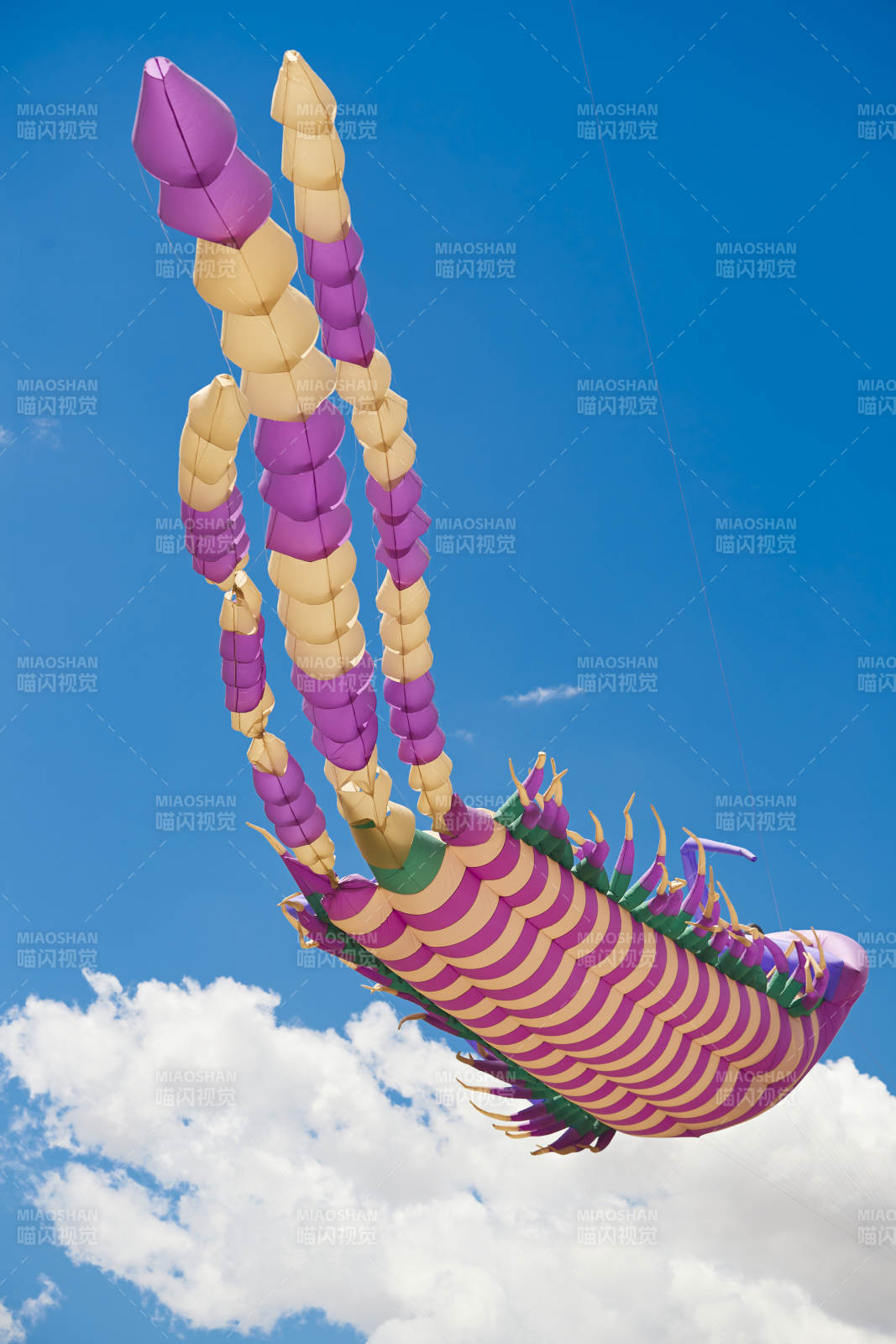 坝上草原风筝节上天空飞舞的风筝图片