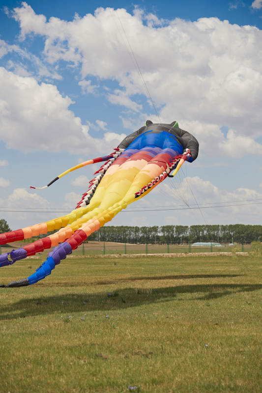 坝上草原风筝节上天空飞舞的风筝图片