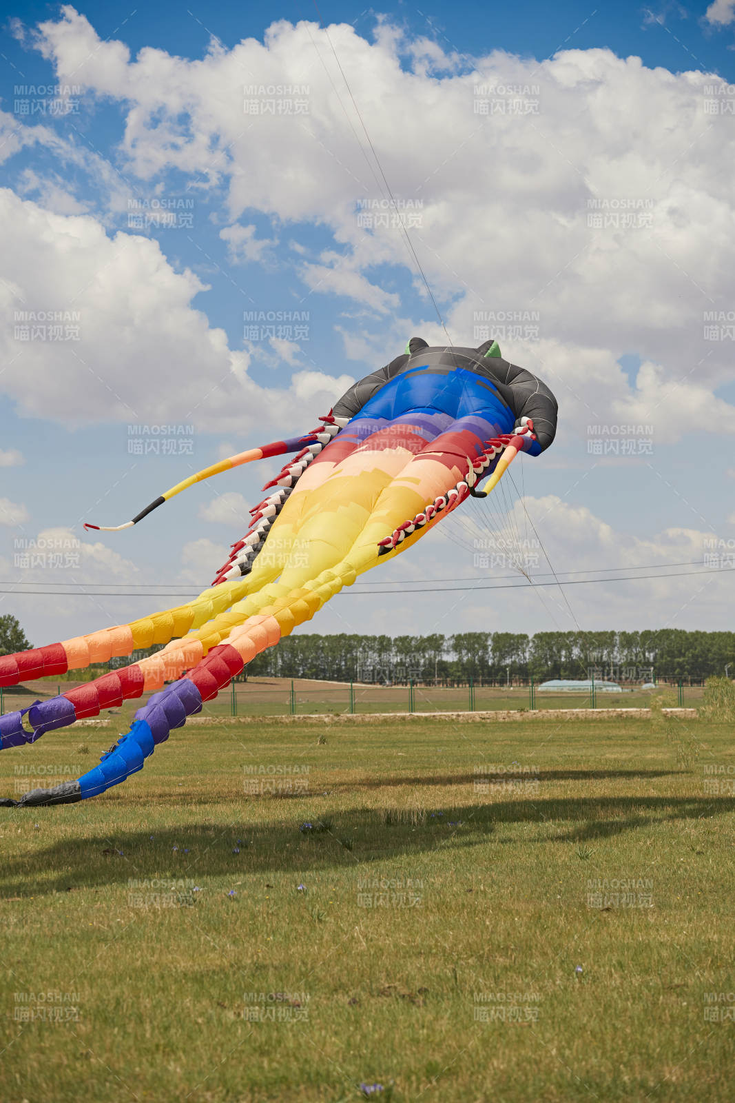 坝上草原风筝节上天空飞舞的风筝图片