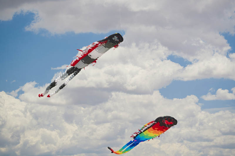 坝上草原风筝节上天空飞舞的风筝图片