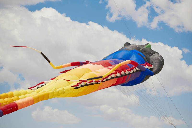 坝上草原风筝节上天空飞舞的风筝图片
