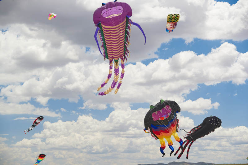 坝上草原风筝节上天空飞舞的风筝图片