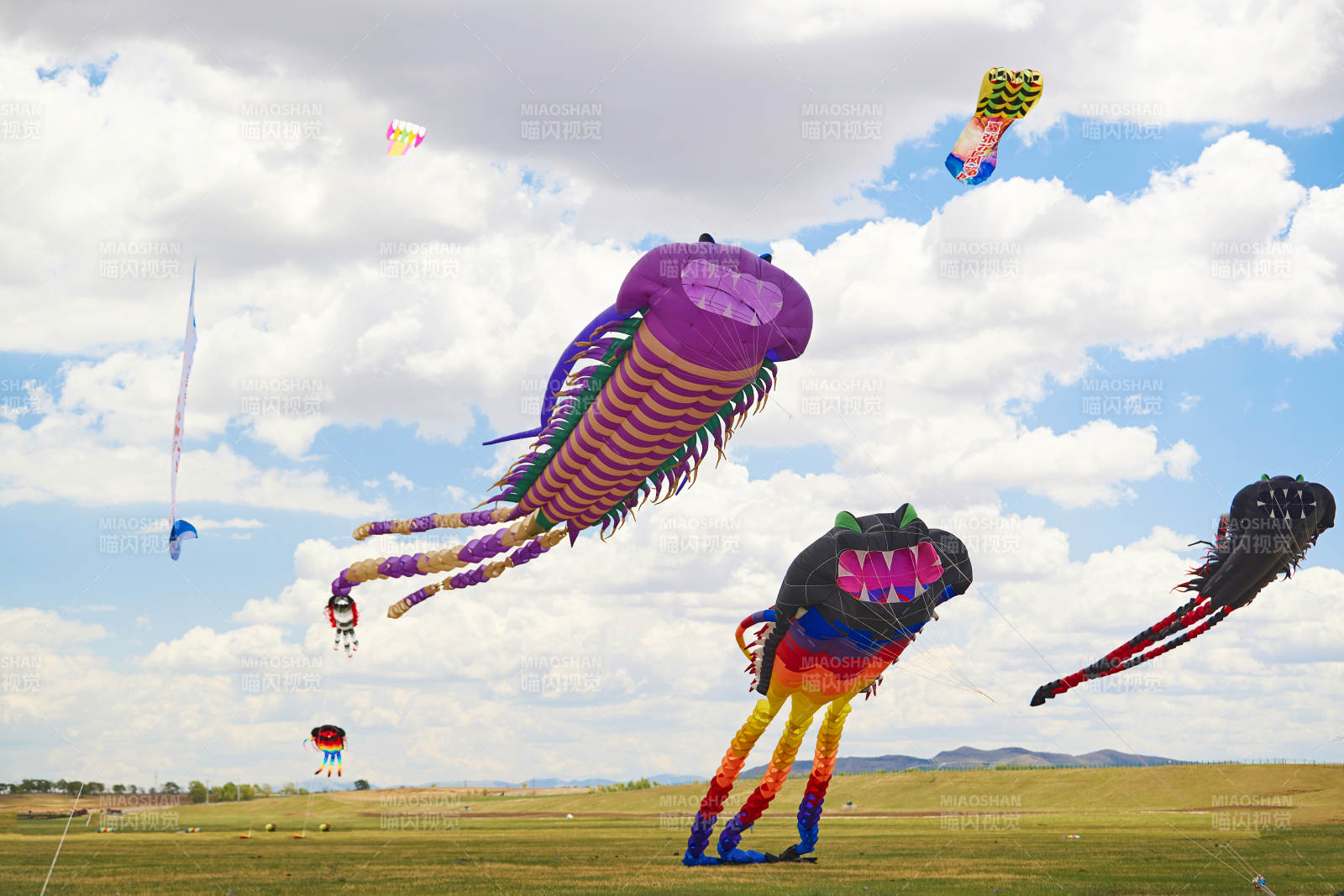 坝上草原风筝节上天空飞舞的风筝图片