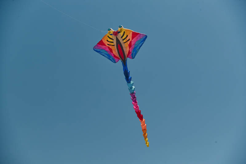 坝上草原风筝节上天空飞舞的风筝图片