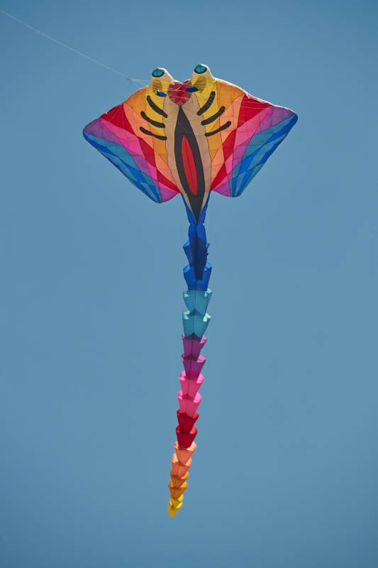 坝上草原风筝节上天空飞舞的风筝图片