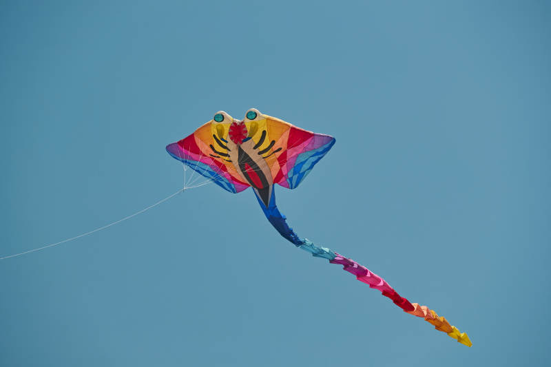 坝上草原风筝节上天空飞舞的风筝图片