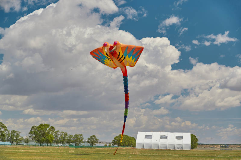 坝上草原风筝节上天空飞舞的风筝图片