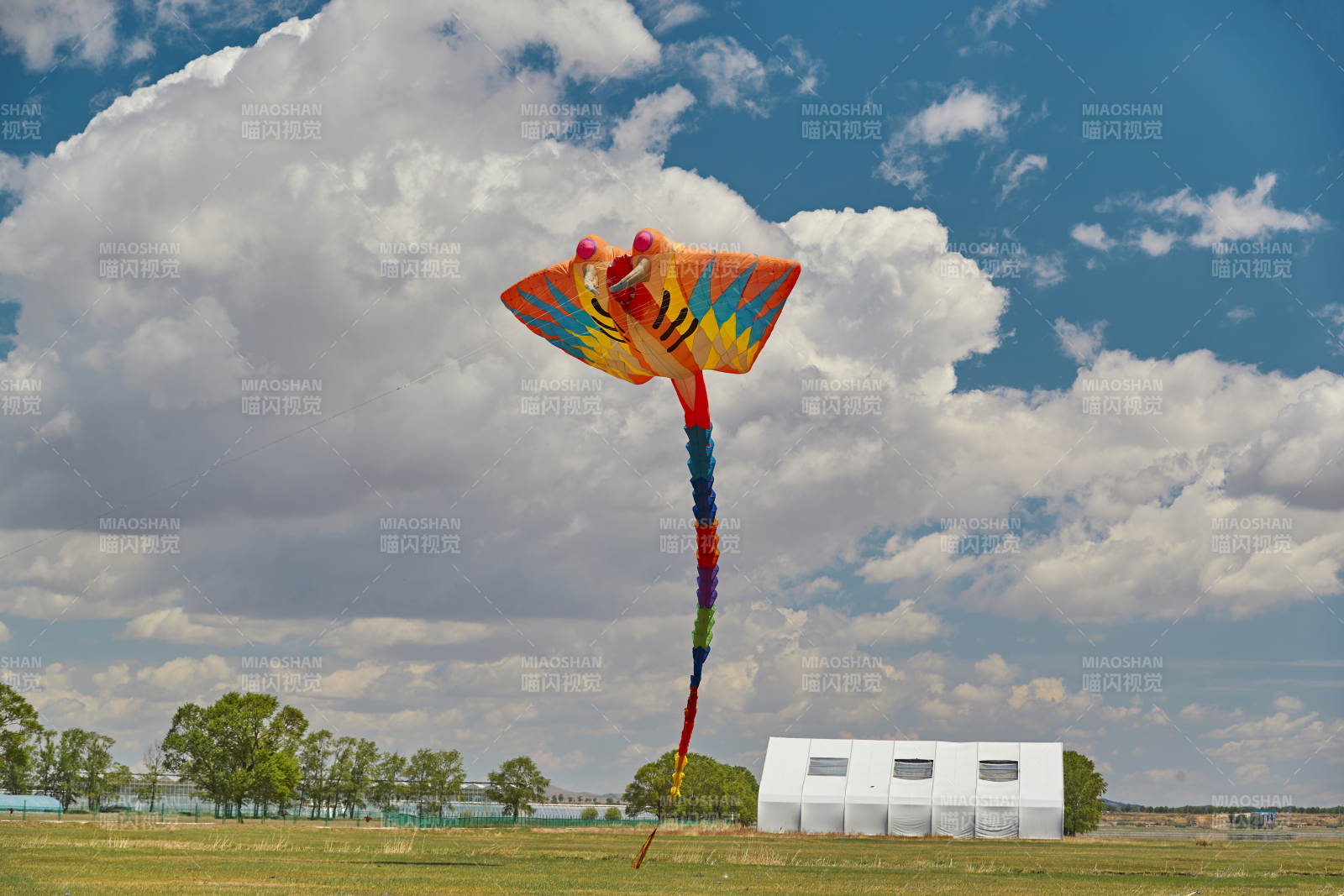 坝上草原风筝节上天空飞舞的风筝图片