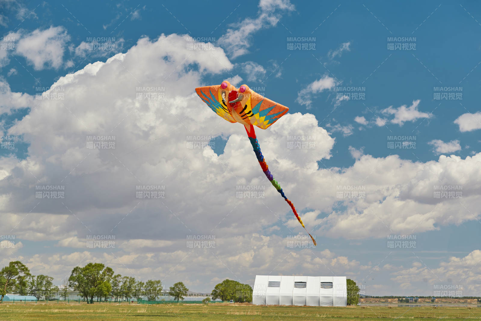 坝上草原风筝节上天空飞舞的风筝图片