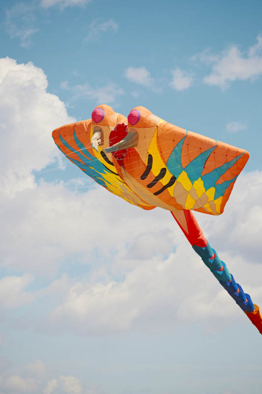 坝上草原风筝节上天空飞舞的风筝图片