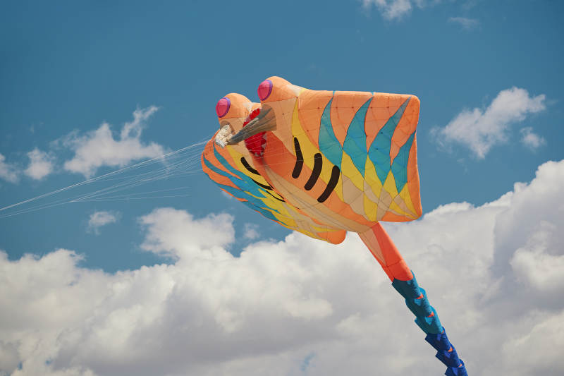 坝上草原风筝节上天空飞舞的风筝图片