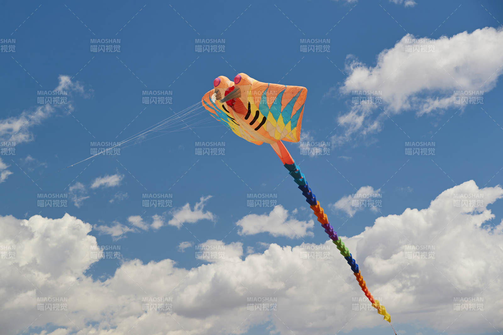 坝上草原风筝节上天空飞舞的风筝图片