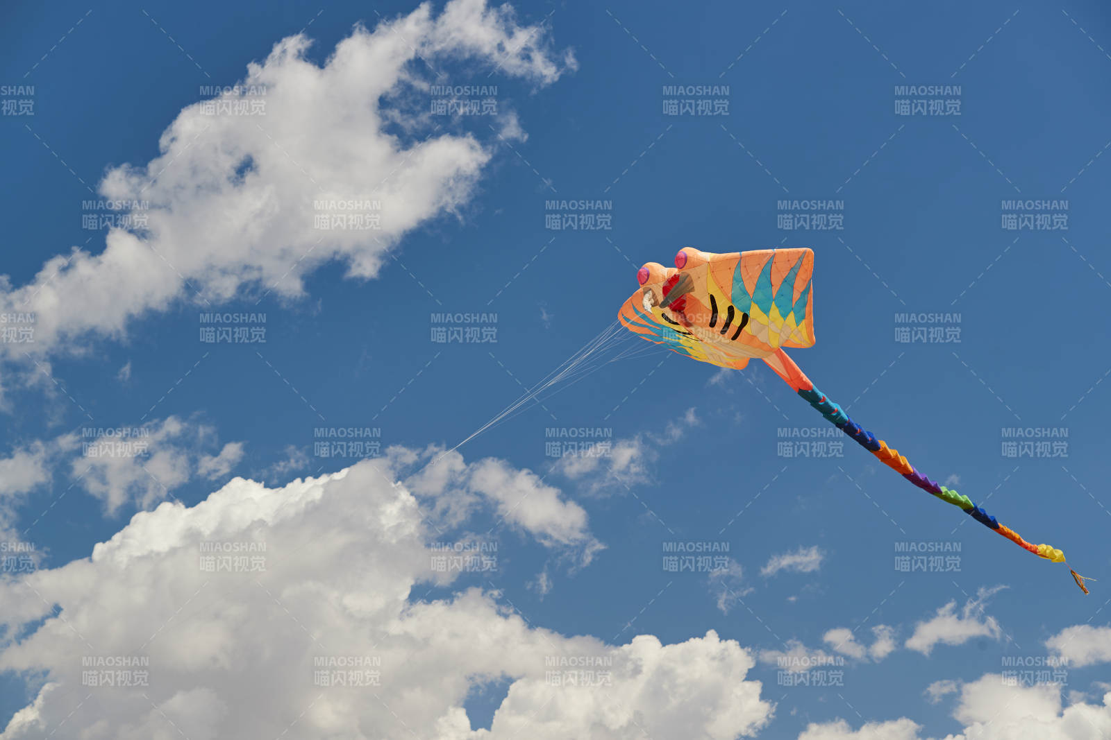 坝上草原风筝节上天空飞舞的风筝图片