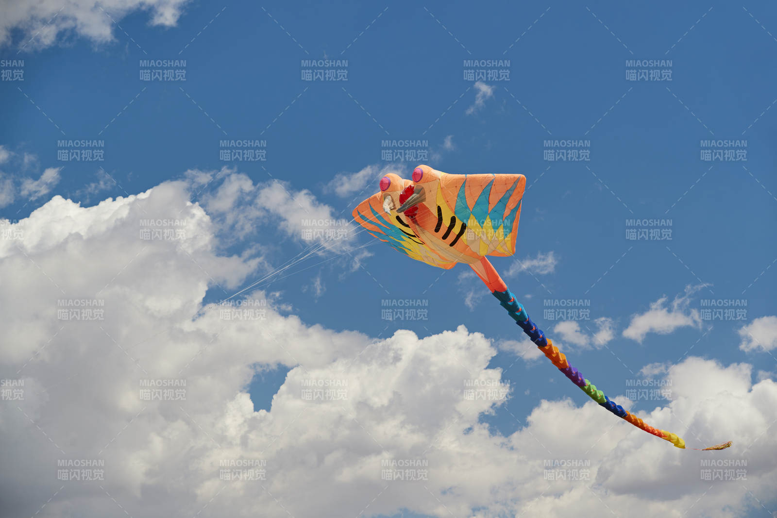 坝上草原风筝节上天空飞舞的风筝图片