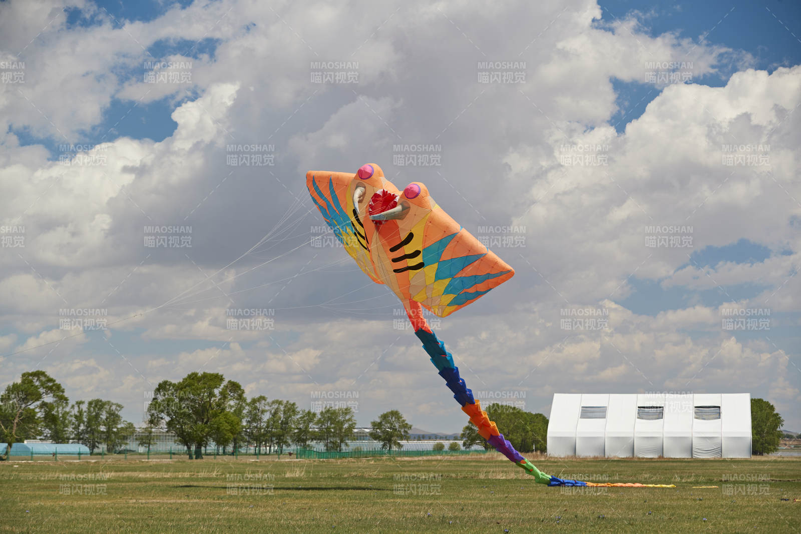 坝上草原风筝节上天空飞舞的风筝图片