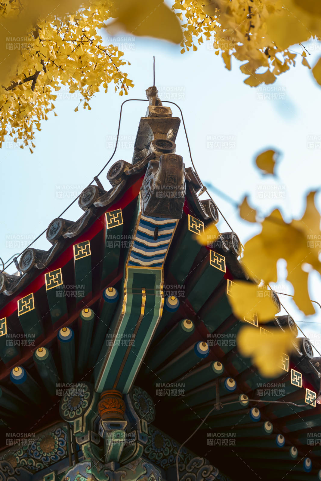 秋叶映古檐图片