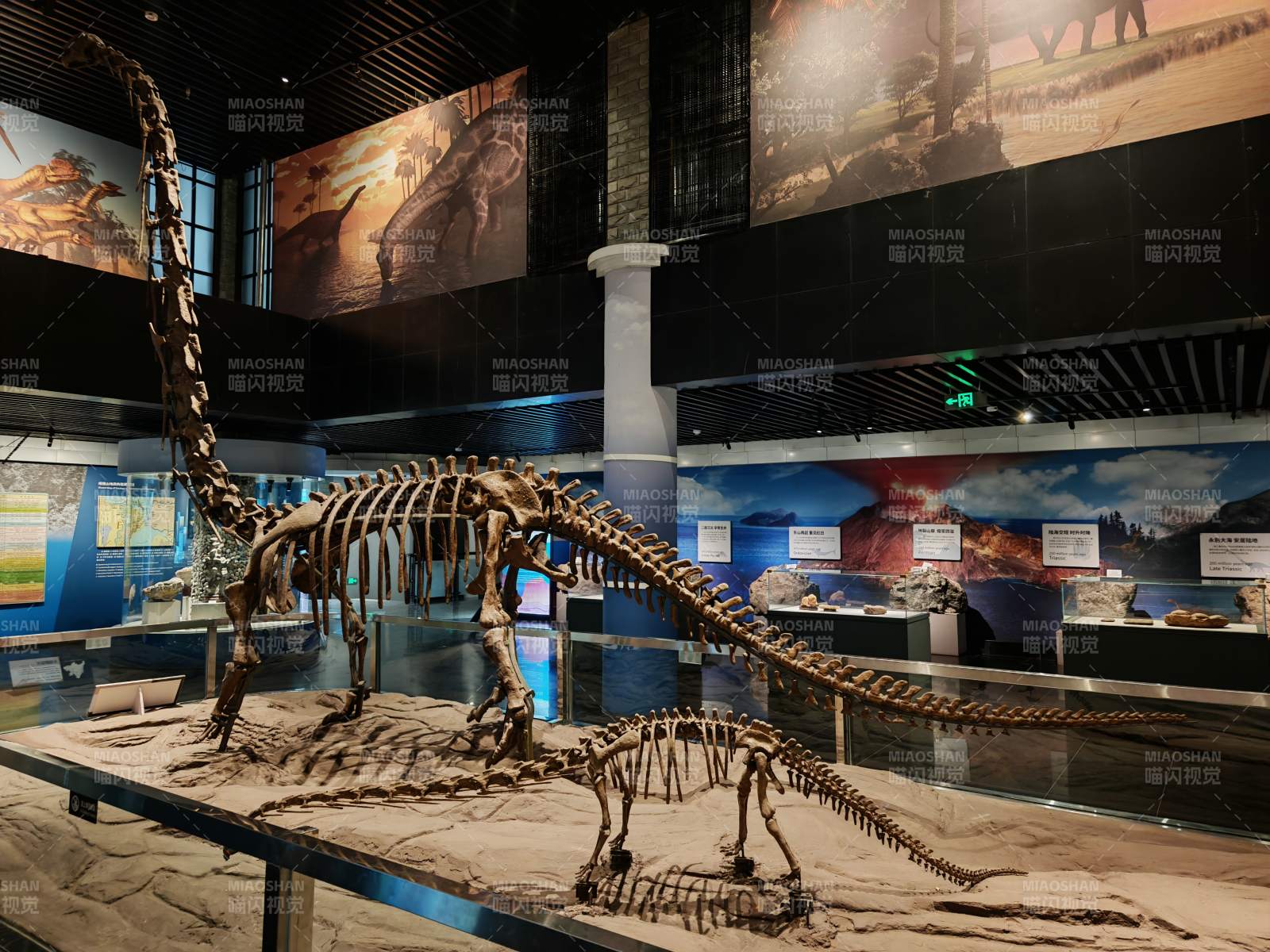 恐龙化石展览图片